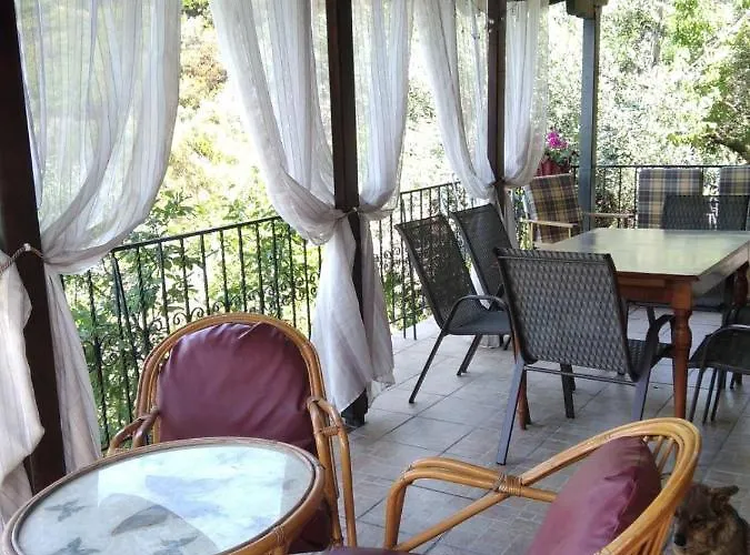 Marigo * 콜리오스